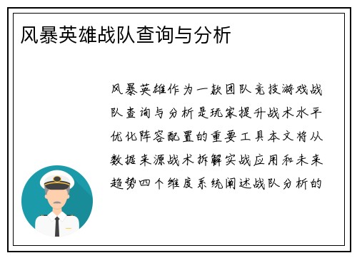 风暴英雄战队查询与分析