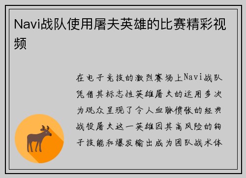 Navi战队使用屠夫英雄的比赛精彩视频